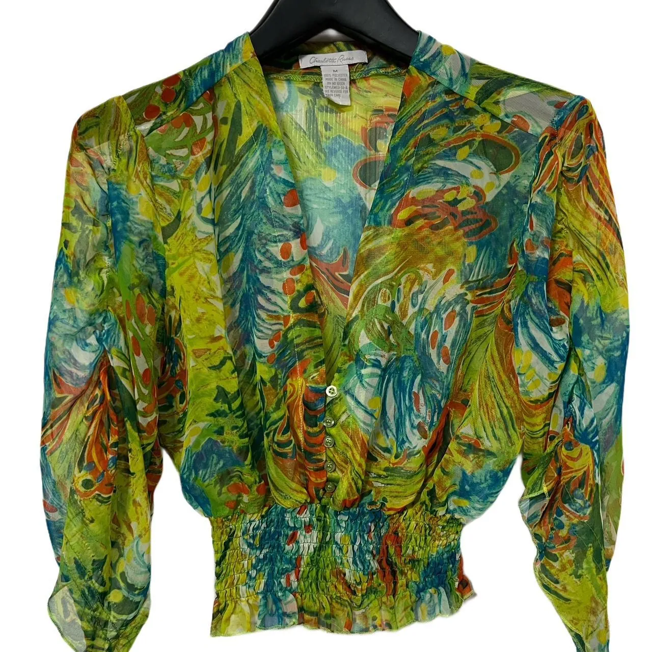Charlotte Russe Multicolor Long Sleeve Sheer Blouse, photo 1 of 4